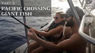 Pacific Crossing Part 5| Giant Fish!