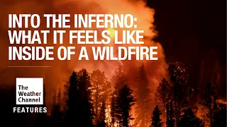 What It’s Really Like Inside a Wildfire | South Dakota Firefighters Tell Their Stories