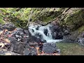Rain-renewed creeks in South Bay bring joy to hikers