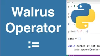 Walrus Operator Python Tutorial