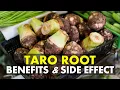 Taro Root Benefits and Side Effects Health Benefits of Taro Root