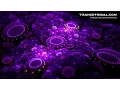 Download Lagu magical psychedelic chillout mix ( psychill / psybient ) HD