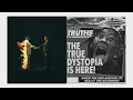 Download Lagu Raindrops (Insane) // MAFIA (Transition)
