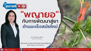 ทำไมการปลูกพญายอจึงสำคัญต่อการพัฒนายาสมุนไพรไทย