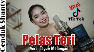 Download Pelas Teri Versi Tayub Genduk Shanty MP3