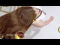 Pantene 3 Minute Miracle