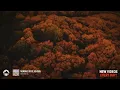 David Guetta, Kid Cudi - Memories | Lyrics