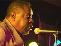 Lurrie Bell - Five Long Years