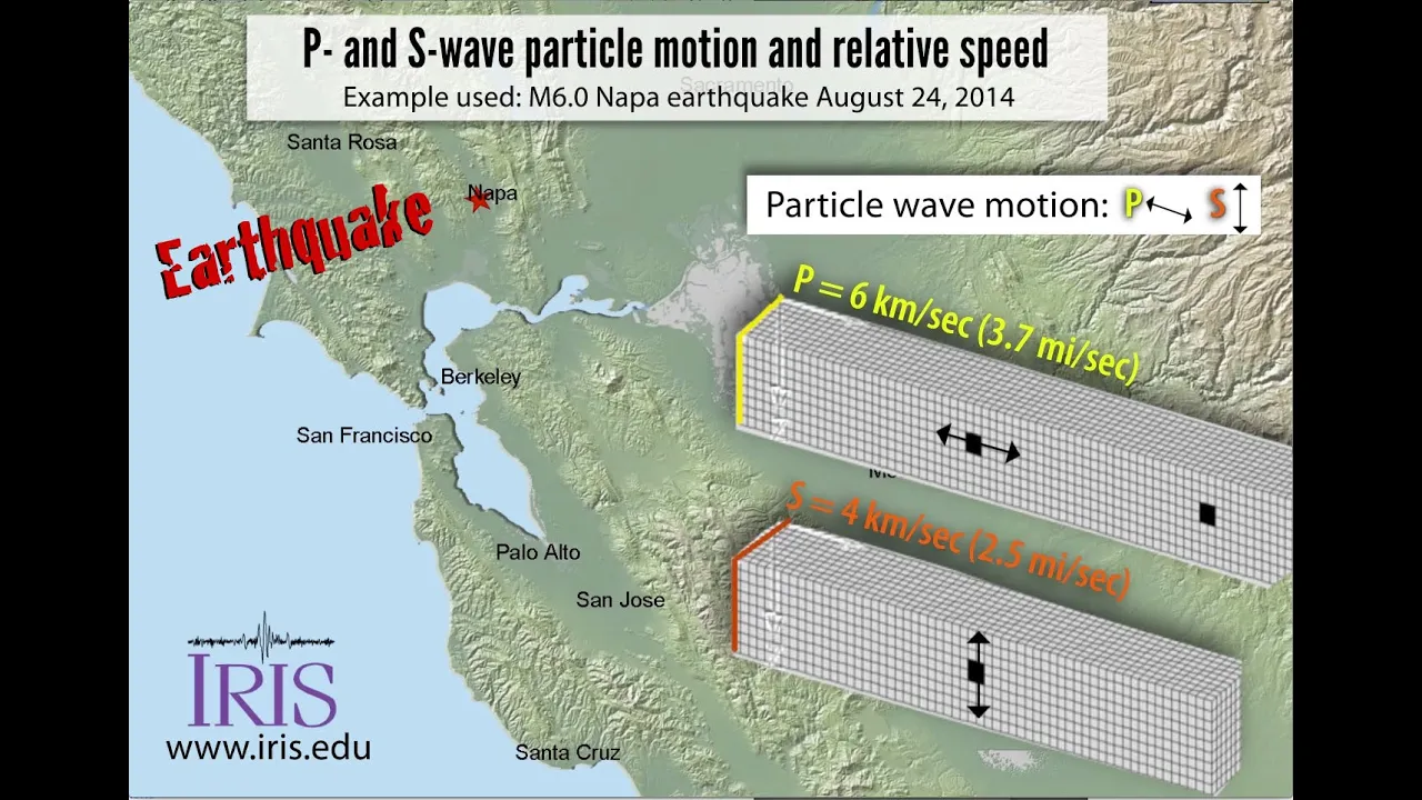 Seismic Waves—P- and S-wave particle motion and relative wave-front speeds
