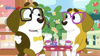 Raccolta: Bluey - I Corti 🐶🎉 | @DisneyJuniorIT