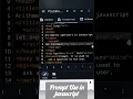 Prompt Used in Javascript