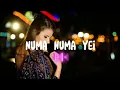 DISCO HUNTER - Numa Numa Yei (Extend Mix)
