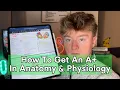 How To Pass Anatomy Physiology With An A Top Study Tips