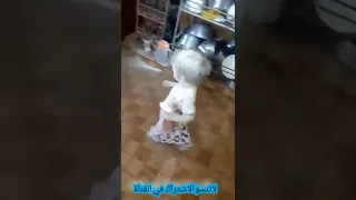 مع الكف نزل كل الطحين اذا بنتك عملت مثلها ايش تعملي Shortsقصص 