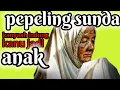 Lagu PEPELING sunda sedih || kanyaah indung kanu jadi anak