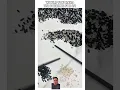 Download Lagu Wow this is such a talent separating #blackrice \u0026 #whiterice #rice #beras #chopsticks #satisfying