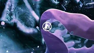 linkin park whered you go waiting for the end intro 2024 studio version