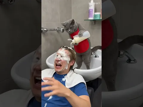 sushininja funny video😂😂😂#funny#prank#shorts#ai#cat