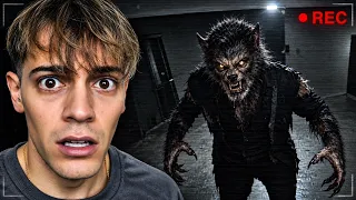 CONOCIMOS AL HOMBRE LOBO ALFA