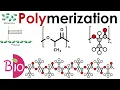 What is Polymerization by Simply The Best BIO