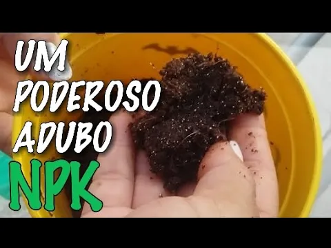 O ADUBO DAS ORQUÍDEAS E DE TODOS OS TIPOS DE PLANTAS. VEJA COMO FAZER TROUXINHA COM ESSE ADUBO!