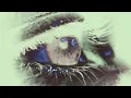 Jxggi - Dream (Visualizer) | Through Her Eyes