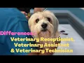 Career as Veterinary receptionist Veterinary Assistant Veterinary Technician in Canada