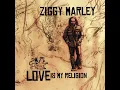 Love Is My Religion - Ziggy Marley