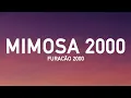 Furacão 2000 - Mimosa 2000 (Letra/Lyrics)
