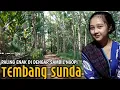 Download Lagu LAGU SUNDA LAWAS PALING ENAK SAMPAI MERINDING - POP SUNDA MANTAP BIKIN MERINDING - TEMBANG SUNDA