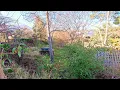 The Most SATISFYING Yard Cleanup You Have Seen This YEAR Part 8