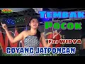 Download Lagu OT WIKA LANGSUNG FULL DJ TEMBAK POCOK FDJ WIDYA