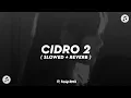 Download Lagu DJ PANAS PANASE SRENGENGE KUI CIDRO 2 ( SLOWED + REVERB )🎶