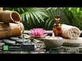 Morning Serenity Relaxing Bamboo Forest Music to Refresh Your Mind and Soul