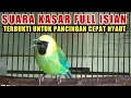 Download Lagu CUCAK RANTING GACOR SUARA KASAR FULL ISIAN‼️ Download Lagu CUCAK RANTING GACOR SUARA KASAR FULL ISIAN‼️