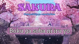 Download Sakura 「桜」- Kawaguchi Kyogo | Boku ga soba ni iru yo | Tiktok | Lyrics | cover by hima MP3