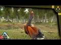 ARK How to tame Ichthyornis