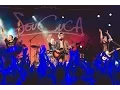 Download Lagu Seu Cuca - DVD 15 Anos Ao Vivo (Completo HD)