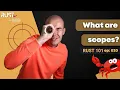 Rust 101 - What are scopes