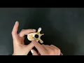 thoracic vertebrae model - quiz review