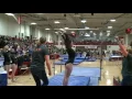 17 - WIAA State Team Gymnastics