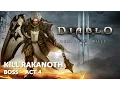 Diablo III Reaper of Souls - UEE