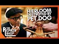 Malaysian Camel Saddle Needs Professionals After Dog Attack The Repair Shop