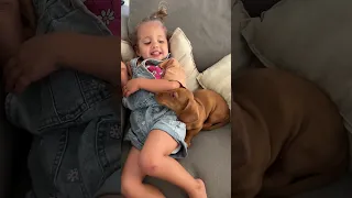 Adorable Laughter As Puppy Tickles Little Girl 