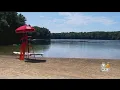 White Pond in Concord Shut Down After Algae Spotted