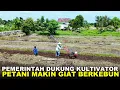 Download Lagu MESIN OLAH TANAH BANTU PETANI TRANSMIGRASI KALIMANTAN UTARA KELOLA LAHAN MAKIN PRODUKTIF