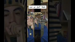 حقيقة الحبل من مسد 
