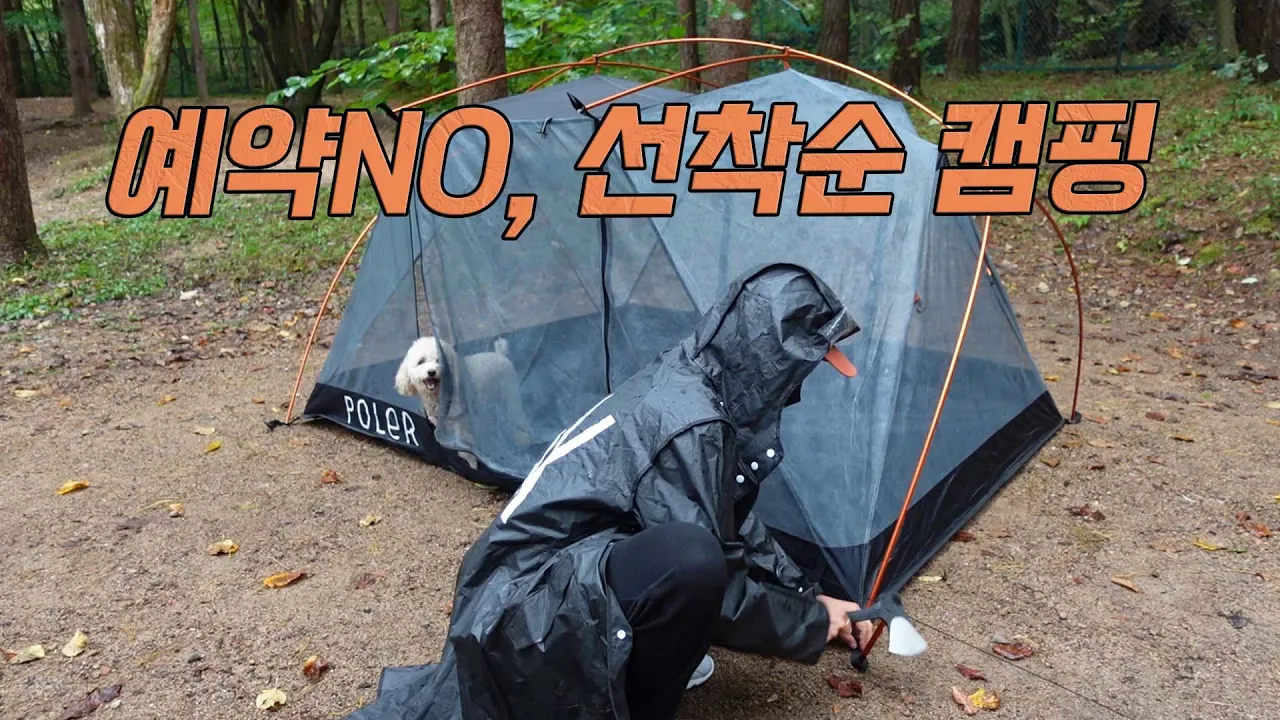 예약 없이 선착순으로 가는 솔 숲 캠핑장ㅣ애견동반 솔로캠핑ㅣ(또..)우중캠핑ㅣ 속리산 사내리야영장 サムネイル
