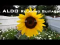 Lagu Reborn Inspirational Flowers Relaxing Original Instrumental Guitar Music Video by ALDO