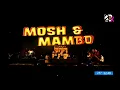 Mosh & Mambo (Plastilina Mosh) - Millionaire (En vivo desde el Festival Internacional Santa Lucía)